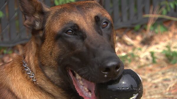 Fugitive Finders: Meet the furriest member of the US Marshals’ task force