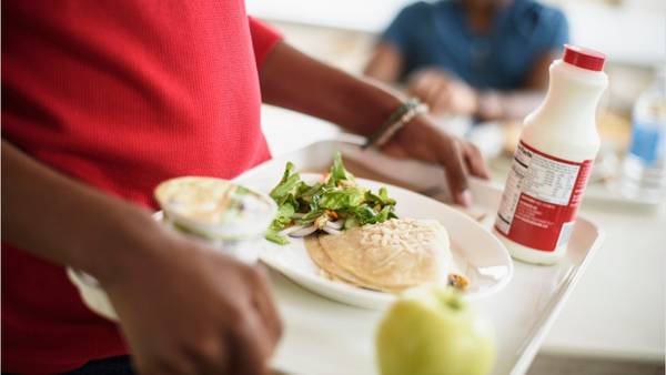 Application for free or reduced lunches for CMS students now open