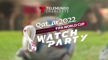 FIFA Watch Party 2022, REV