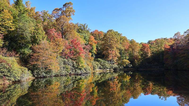 Oct. 7, 2022: This photo was taken at Sims Pond (Milepost 295.9) on the Blue Ridge Parkway.