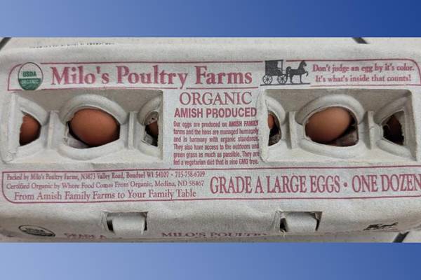 Recall alert: 345K dozen eggs recalled for potential salmonella contamination