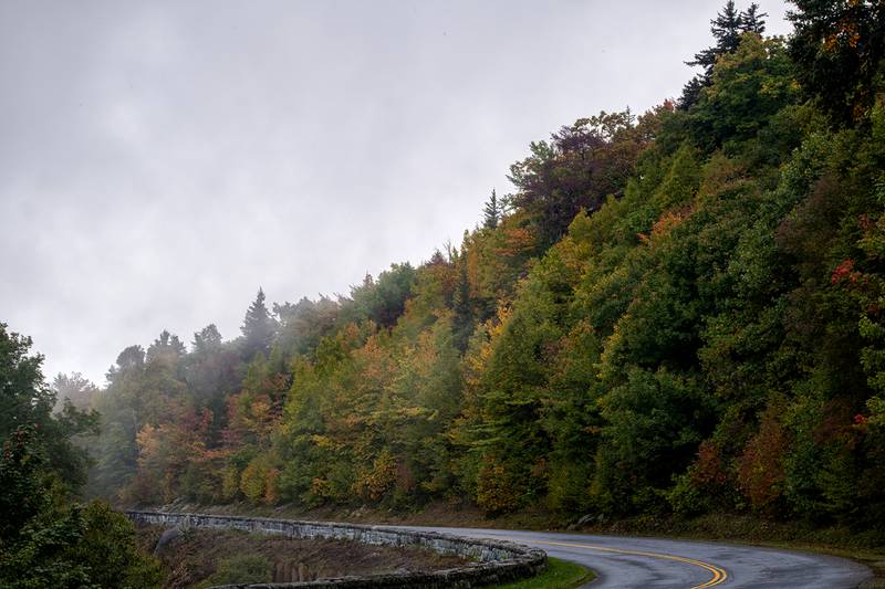 Color continues to progress at higher elevations along the Blue Ridge Parkway and Grandfather Mountain. One of the most perennially colorful stretches is Rough Ridge, near Milepost 302.8 on the Parkway, and color can be seen popping between that particular milepost and the Grandfather Mountain exit (Milepost 305).