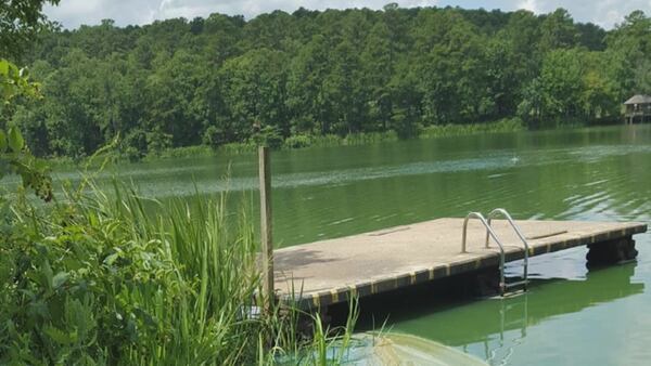 Toxic blue-green algae resurfaces in local ponds as temperatures rise