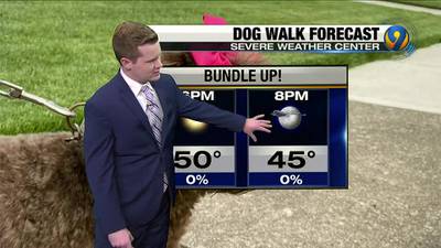 FORECAST: Chilly temps continue on Sunday
