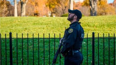 Lockdown at the White House: Birds, not aircraft caused brief panic in Washington