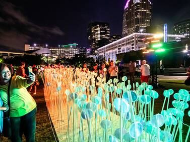 What to see and do during Charlotte SHOUT! music and arts festival