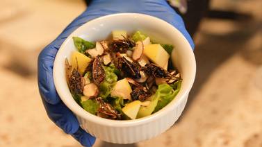 Would you like a cicada salad? The monstrous little noisemakers descend on a New Orleans menu