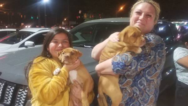 Reunited: 2 puppies returned to owners after being stolen from home in Monroe