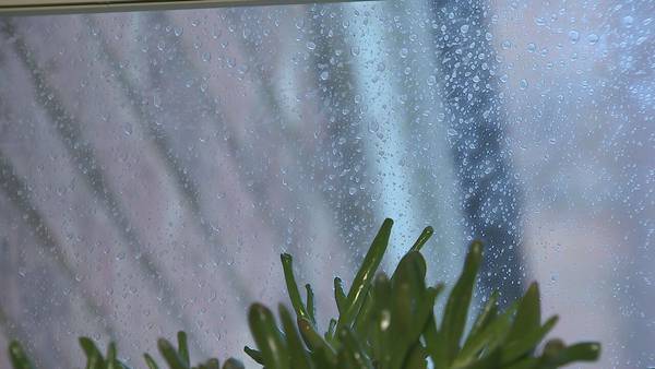 Homeowner says contractors ruined her windows, they say it’s tree sap