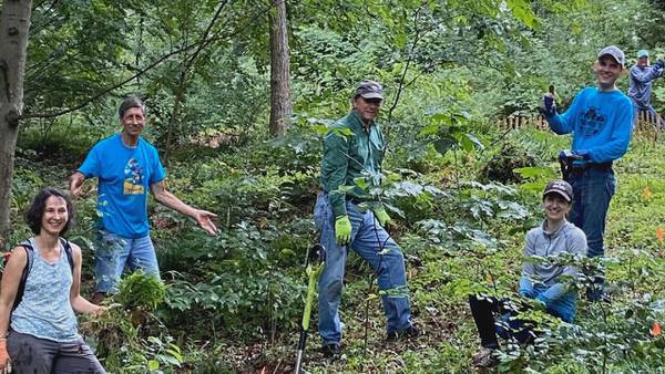 Carolina Strong: Dilworth residents work to keep their neighborhood parks clean