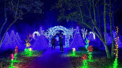 See how the Garden glows for the holidays
