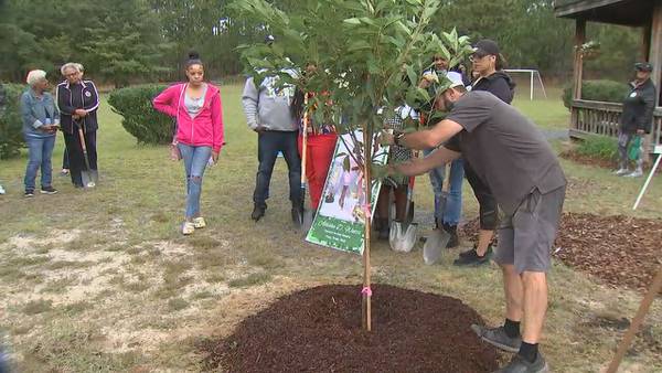 Loved ones plant tree in honor of Allisha Watts on what would’ve been 40th birthday