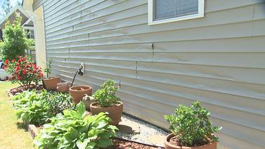 Neighbors say homes are being damaged by sunlight reflected from low-energy windows