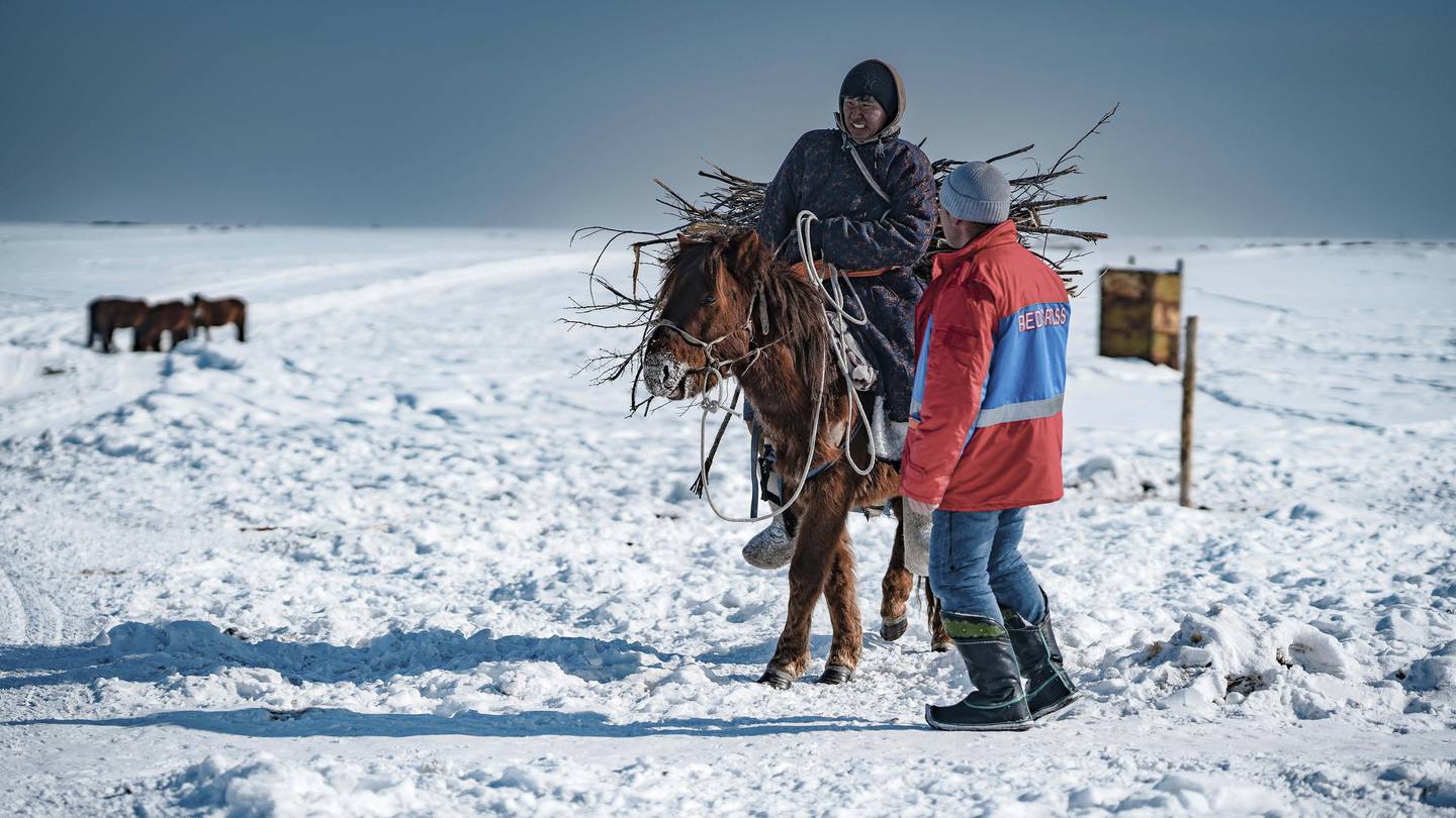 Heavy snows and drought of deadly 'dzud' kill more than 7 million head of livestock in Mongolia
