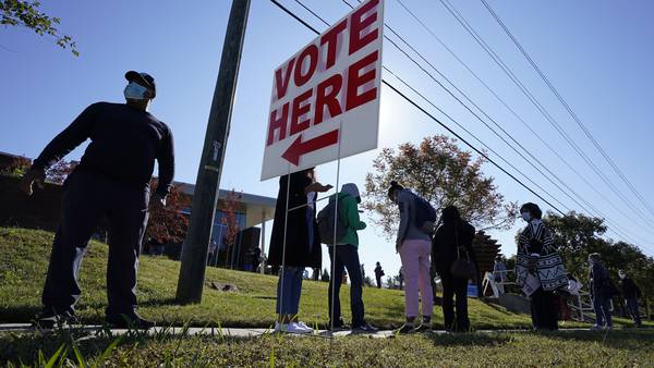Election observers caused few disturbances in North Carolina