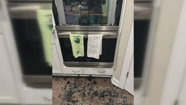 121 customers tell Action 9 the glass on their Frigidaire ovens suddenly shattered