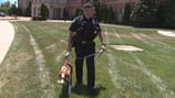 5-month-old Millie is Kannapolis Police Department’s first therapy dog