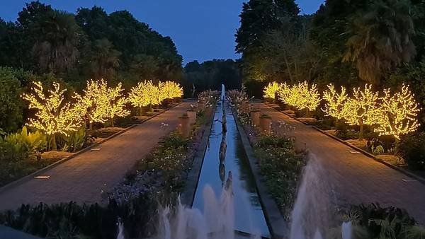 Daniel Stowe Botanical Garden glows with ‘Nature’s Nightlights’ this summer