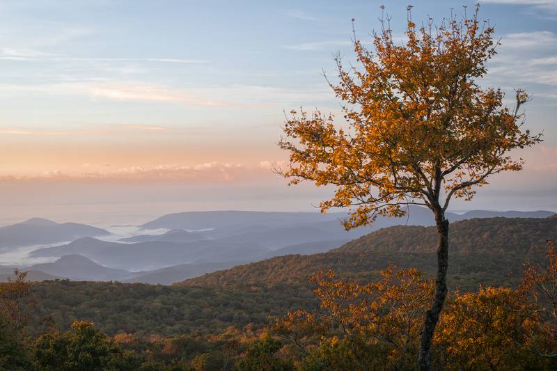 Pictured during the early morning hours of Oct. 13, this picnic spot on Grandfather Mountain, located just before Split Rock and Sphinx Rock, offers spectacular views of fall color, accompanied by the mountains and valleys below. Fall color is presently bursting on Grandfather, and the color change is steadily making its way into the lower elevations, with birches, maples and sourwoods stealing the show. Experts anticipate peak color around Oct. 20 for the WNC High Country.