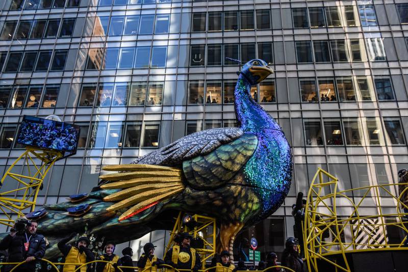 NEW YORK, NEW YORK - NOVEMBER 23: The Birds of a Feather Stream Together float participates in Macy's annual Thanksgiving Day Parade on November 23, 2023 in New York City. Thousands of people lined the streets to watch the 25 balloons and hundreds of performers march in this parade happening since 1924. (Photo by Stephanie Keith/Getty Images)