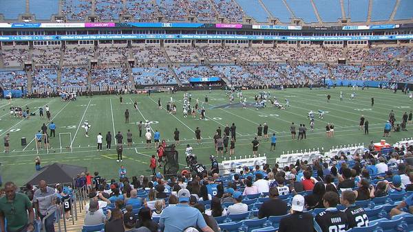 Carolina Panthers to hold fan fest at Clemson University