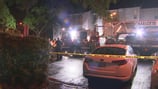 1 dead after tree falls on east Charlotte apartments, Charlotte Fire says