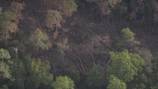 New Chopper 9 video shows debris field in South Carolina after F-35 fighter jet mishap