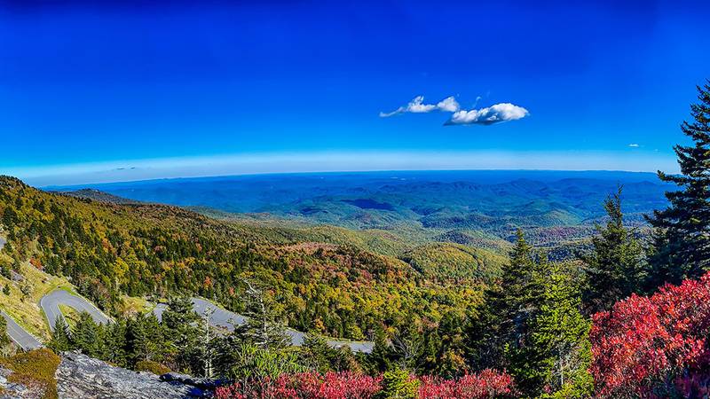 Oct. 7, 2022: The vantage point from the Mile High Swinging Bridge parking area above the mountain’s famous switchbacks provides a nice look at fall color filling the landscape around Grandfather Mountain. In the foreground, blueberry bushes display their gorgeous, deep-red hue.