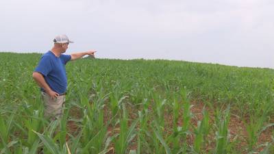Growing drought impacts crops across North Carolina