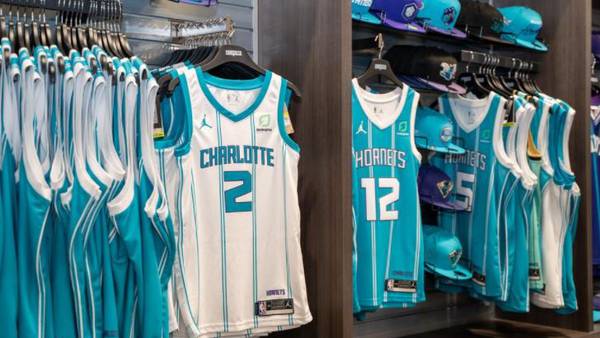 Charlotte Hornets investors on Wall Street cold streak may sell NBA stakes