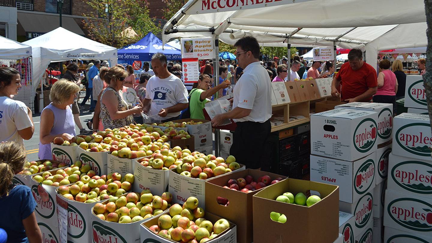 Have bushels of fun at North Carolina Apple Festival WSOC TV