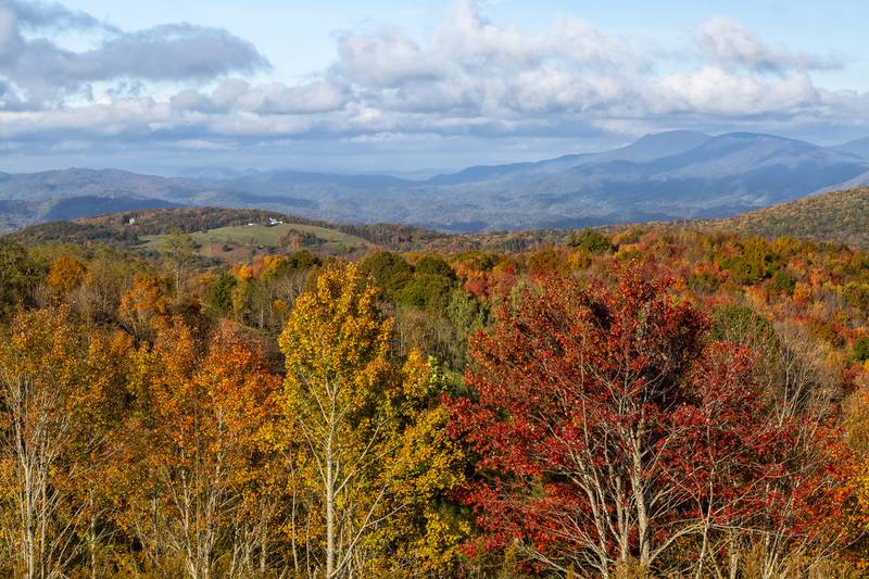 According to Dr. Howie Neufeld, professor of biology at Appalachian State University and the WNC High Country’s official Fall Color Guy, today’s cold snap “will hasten some leaf fall and get our colors to a more advanced stage in the 3,000-foot range and also extend it down to 2,000 feet now, where it is still mostly green.”