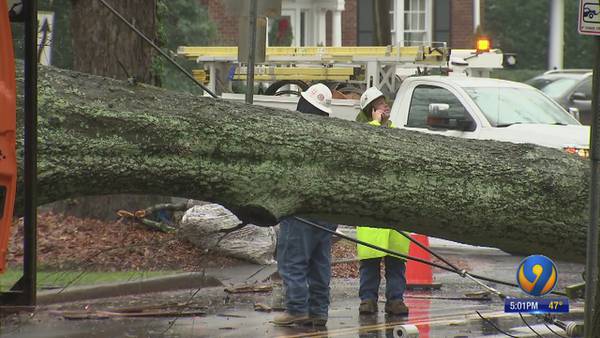 Fallen tree knocks down power lines in Myers Park neighborhood