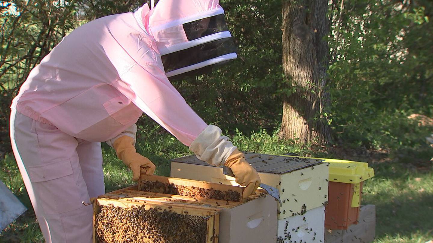 Mecklenburg County Beekeepers Association