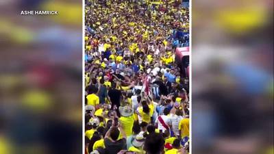 Brawl breaks out between fans, players in stands at Copa América match in Uptown