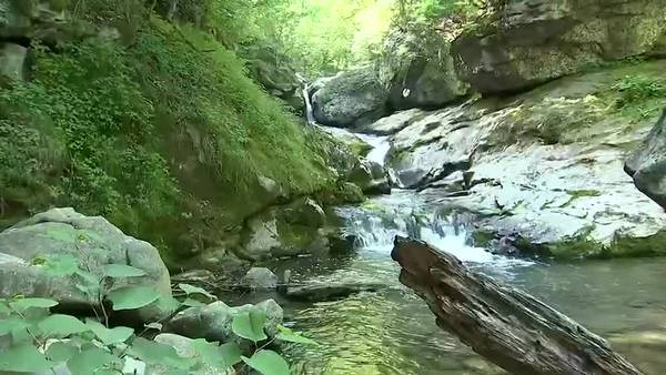 Highway patrol taking steps to keep tourists safe in NC mountains