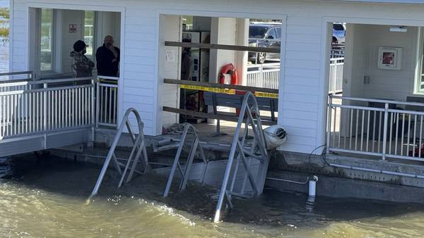 Eyewitness video captures frantic efforts to save lives after deadly collapse of dock walkway