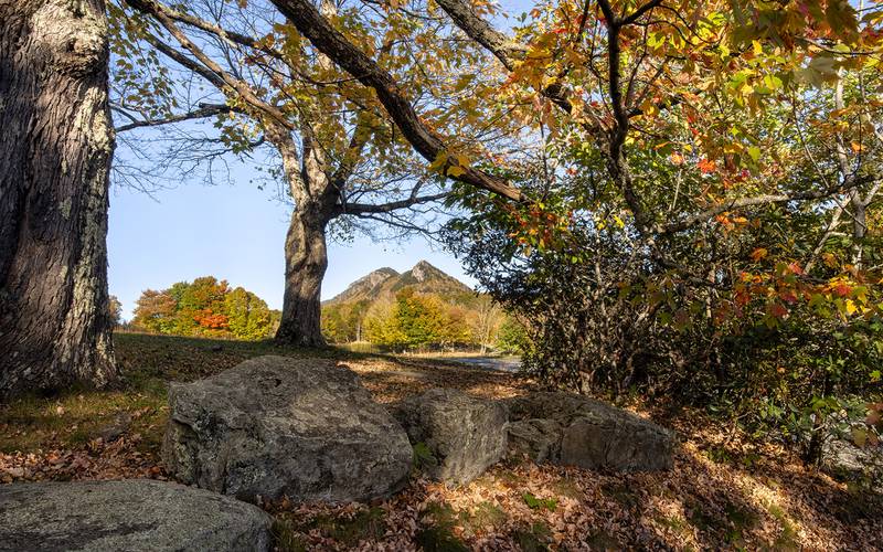Although fall color is peaking at the area’s higher elevations, many trees in lower elevations have yet to turn, making Grandfather Mountain the ideal location from which to watch the season unfold.