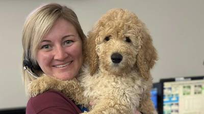 Burke County training therapy dog to work with 911 dispatchers