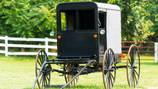 2 children killed after Amish buggy hit by pickup truck