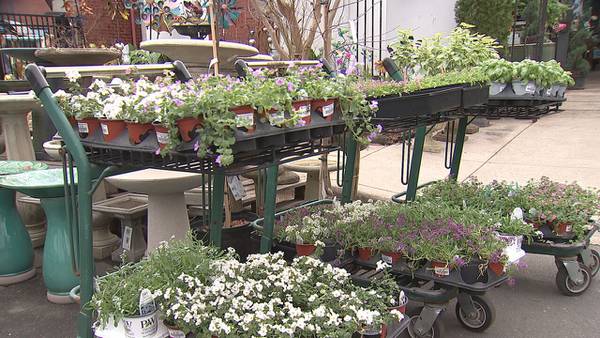 Overnight temperatures could cause problems for outdoor plants