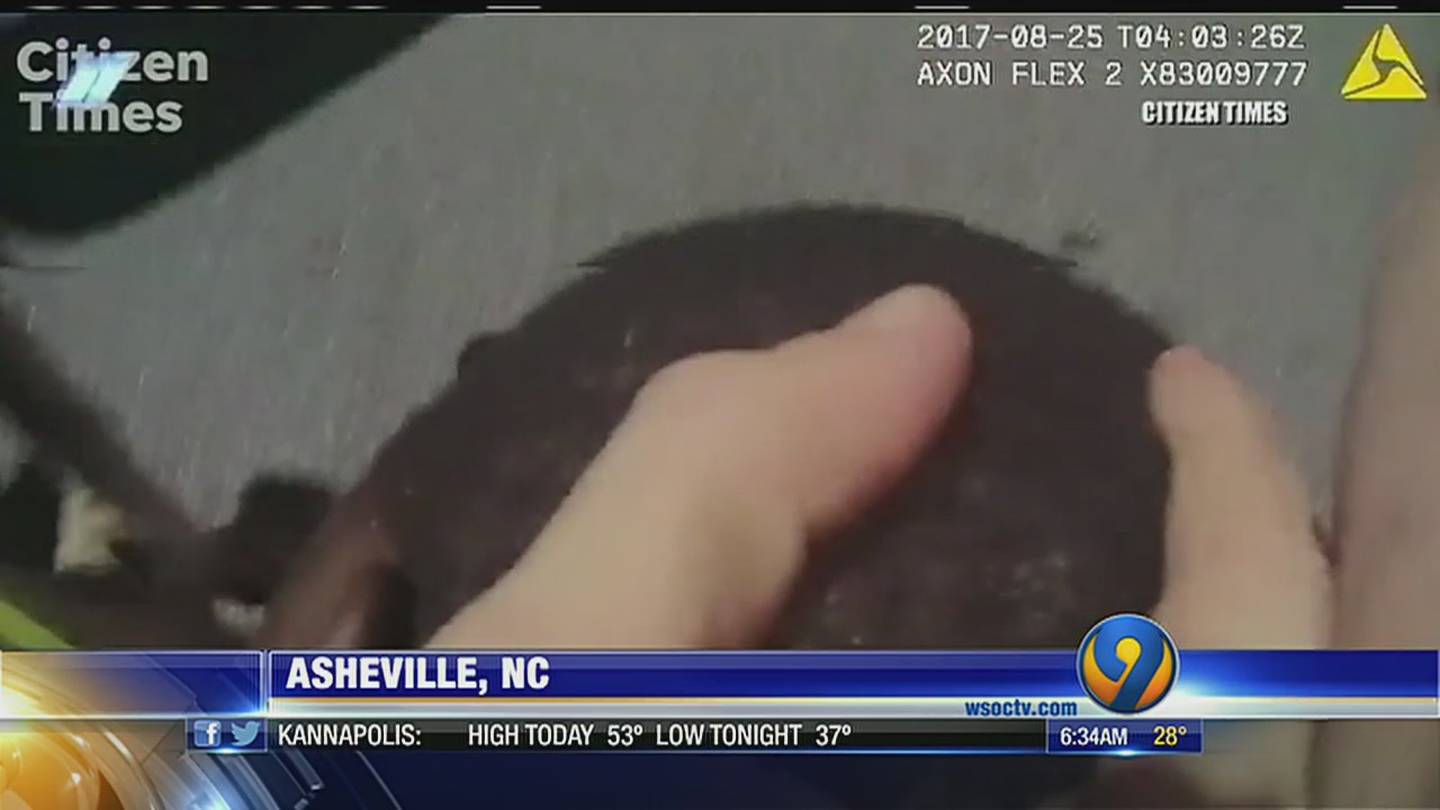 Video Ex Asheville Officer Charged After Beating Alleged Jaywalker Wsoc Tv 