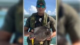 Charlotte man accused of illegally spearing angelfish in Florida