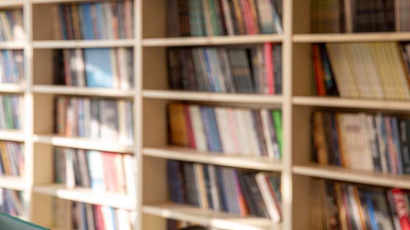 books on bookcases