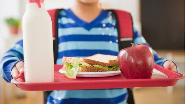 Here is what CMS families need to know to get free, reduced lunches