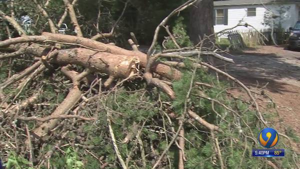 Residents continue cleanup day after strong thunderstorms