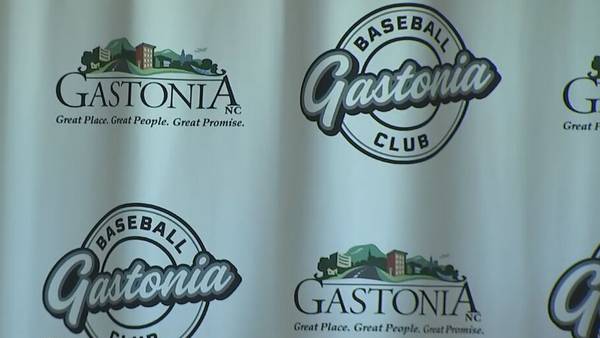 Owners announced for Gastonia’s new baseball team 
