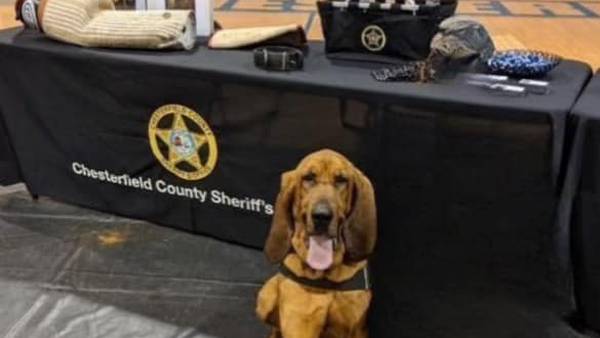 Retired Chesterfield County bloodhound Lillie passes away
