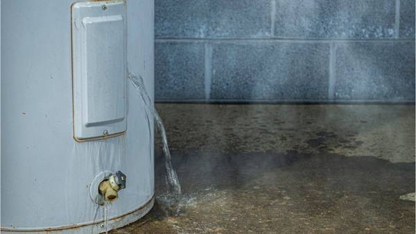 NY residents say mice were in water heaters