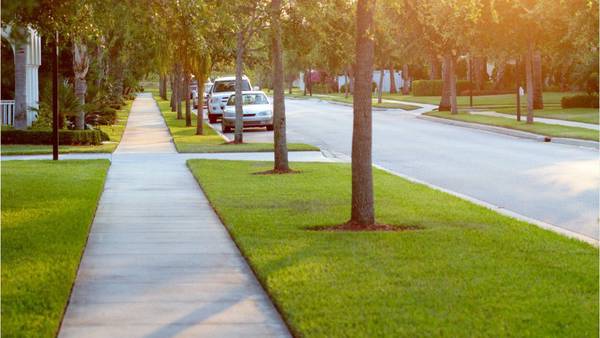 Florida driver seen driving on a sidewalk to avoid rush-hour traffic